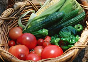 千葉・海浜幕張の人気居酒屋「大衆酒場 ムロヒガシ」の魅力と詳細情報