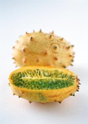 幕張本郷駅近くの居酒屋「酒場食堂V」の魅力と詳細情報