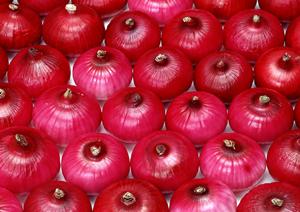 秋葉原の海鮮居酒屋「磯丸水産」の魅力と店舗情報｜新鮮な海の幸を目の前で堪能